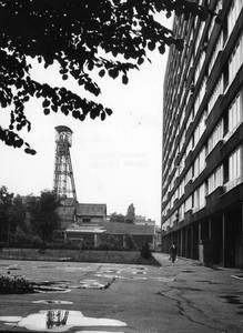 FOTOGRAFIE - detail